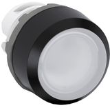 MP9-1246 Illuminated pushbutton white "CLOSED" flat, momentary, front ring: