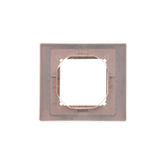 Double equipontential socket, module, champagne matt