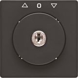 Centre plate lock key switch blinds imprint Berker Q.1/Q.3 anthracite