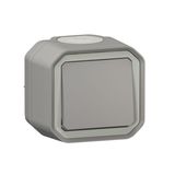 Plexo 10A waterproof switch or two-way switch delivered complete for gray surface mounting