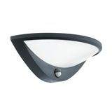 BELCREDA wall light 97312