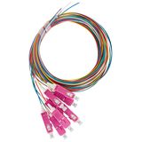 FO Pigtail SC, 50/125æm OM4, 2.0m, Easy Strip, 8pcs