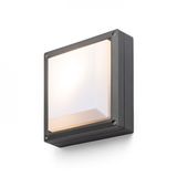 DELTA 215 surface mounted anthracite grey 230V LED E27 15W IP54