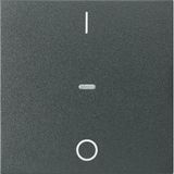 Cover I/O for 1gang for push-b. module, clearlens, S.1/B.3/B.7, ant.,