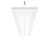 MIRL DI LED3000-830 LDO WH ASQ1 - LED pendant luminaire