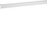 Trunk. lid carpet border SL20055 tw