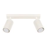 CEILING STRIP WITH TWO MOVABLE BEIGE SPOTLIGHTS FOR HALLWAY, CARBON SERIES 2XGU10