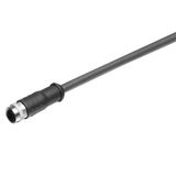 Sensor/actuator line, M8, Number of poles : 3, 0.3 m, Female socket, straight, Shielded: Yes, LED: No, Sheath material: PUR