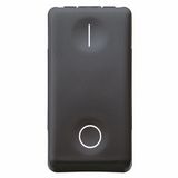 One-Way Switch 2P 16AX 250V 1 Module Black