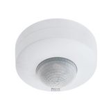 DETECT ME 6 motion detector 97421