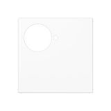 Centre plate A527.201WW