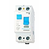 Residual current circuit br. 110V,80A,2-p,100mA,type AC6kA