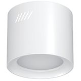 Surface Housing for SEGON Basic 2 20W, textured white