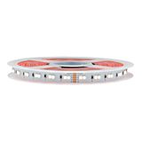 LED Flexstrip 80 ECO RGB Warm White - IP20 - CRI/RA 90+