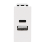 N2185.3 BL USB CHARGER A+C 10.5W -1M