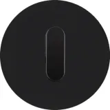 Cover plate with knob, R.Classic series, glass, black