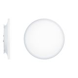 CAELA RMS LED1600-930 LDO OP WH WH - LED wall and ceiling luminaire