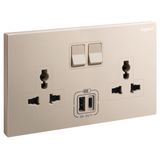 ROSEGOLD 2G MULTISTANDARD SWITCHED SOCKET WITH TWO USB TYPE A+TYPE C