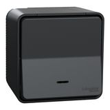 Push button Mureva Styl grey with LED 10A 250V IP55 IK08