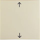 Rocker imprinted arrows symbol, S.1, white glossy