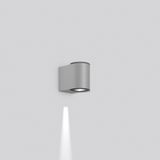 NADELSPOT PRO, 12 W, 250 lm, 830, silver, DALI Wall luminaires, L 100 