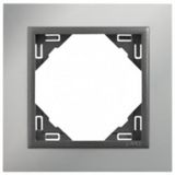 SINGLE FRAME CHROME/GRAY