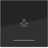 Rocker single with light symbol imprint, clear lens, A.x/C.x black glass.