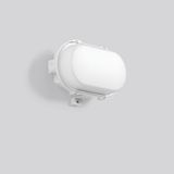 STANDARD, 6,8 / 8,4 W, 830 / 1050 lm, 840, grey, on/off Oval bulkhead 