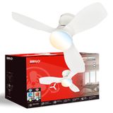 CCT ceiling light with fan, white