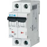 PL6-D6/2 Miniature circuit breaker (MCB), 6 A, 2p, characteristic: D
