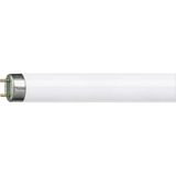 15W/29-730 T8 Philips