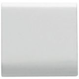 INTERCHANGEABLE BUTTON KEY - 22X22mm - GENERAL - SATIN WHITE - CHORUSMART