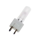 Amsco GY9.5 33V 235W Frosted