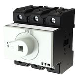 P3 Main switch, 80 A,Rear mounting, 3 pole, Form X, Other, Other