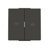 Rocker blind switch