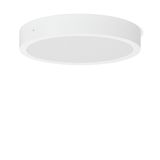 TOLEDO FLAT+ round, 33 W, 3800 lm, 830, 840, white, on/off Surface mou