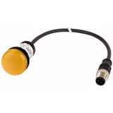 C22-L-Y-24-P5 Indicator light, Flat, Cable (black) with M12A plug, 4 pole, 1 m, Lens yellow, LED white, 24 V AC/DC