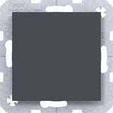 Blank plate with central plate, A.x/C.x, anthracite