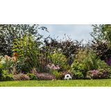 GardenPump 18V-2000 solo