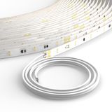 LESS IS MORE FLEX, 78 W, 9700 lm, 830 LED strip, L 5000 B 8 H 2