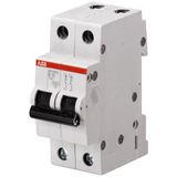 SH202L-B50 Miniature Circuit Breaker - 2P - B - 50 A