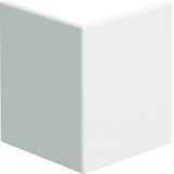 External corner lid for wall trunking BRS lid 80mm of sheet steel in p