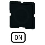 221TQ25 Button plate for push-button, Inscription: ON, 25 x 25