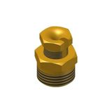 Accessory  Cap. Tube Gland 1/2" NPT