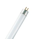 Basic T5 Short fluorescent lamp 13W/640 G5