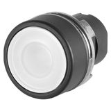 Guarded push-button, illuminated, white