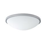 PRISLUSENSTVI B15/X13