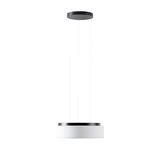 LED-1L16C07ZLE11/413/L100 C DALI 3000