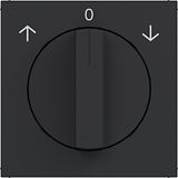Central plate for blind rotary switch, A.x/C.x night black matte