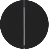 Rocker switch 2-way R.Classic black, glossy